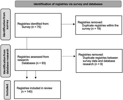 An overlook on the current registries for rare and complex connective tissue diseases and the future scenario of TogethERN ReCONNET